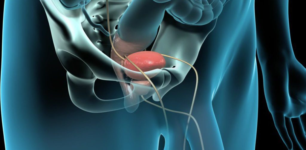 Häufige Prostata-Probleme mit 30 – Bist du dir dessen bewusst?